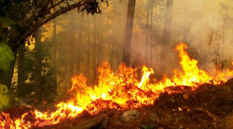 Imparables los incendios en la Mixteca