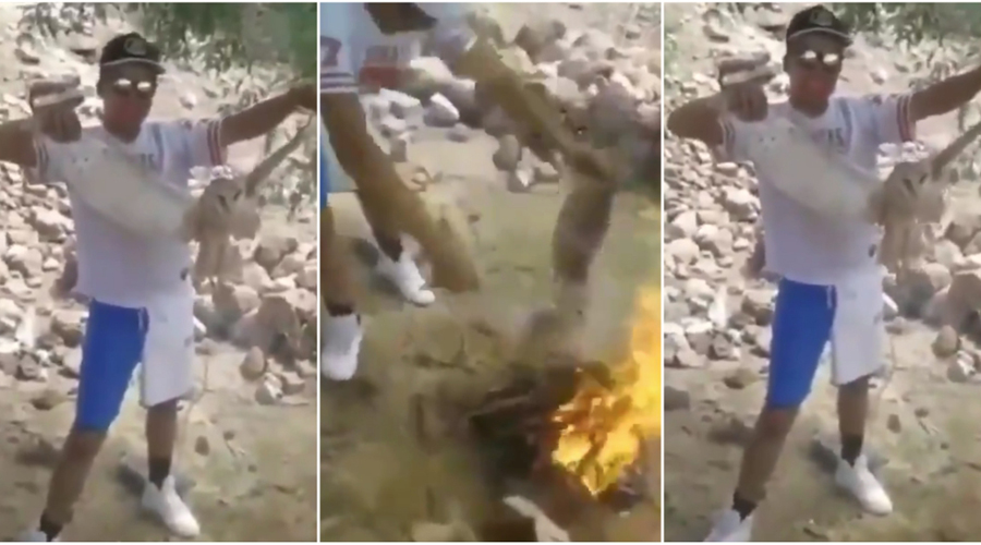 Video: Dos jóvenes queman lechuza viva “por bruja” | El Imparcial de Oaxaca