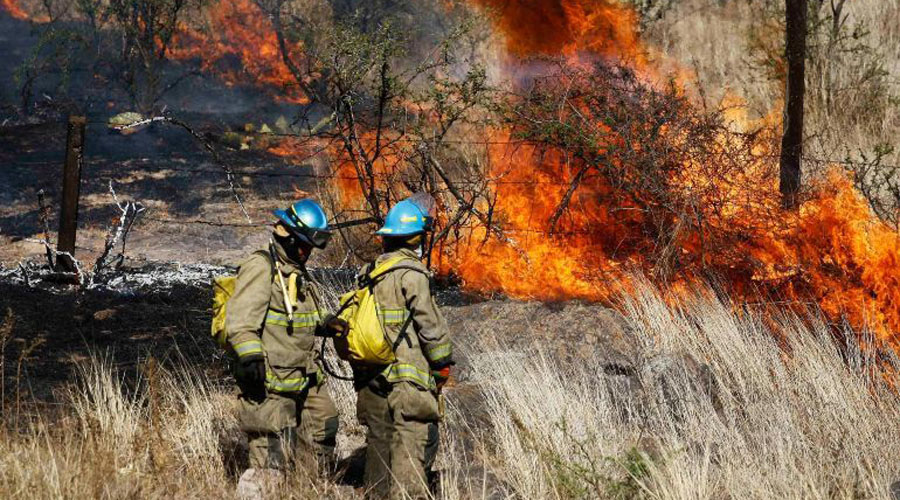Reporta Protección Civil 79 incendios activos en el país | El Imparcial de Oaxaca