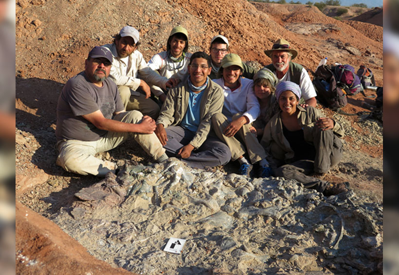 Descubren “cementerio” de dinosaurios con 220 millones de años en Argentina | El Imparcial de Oaxaca