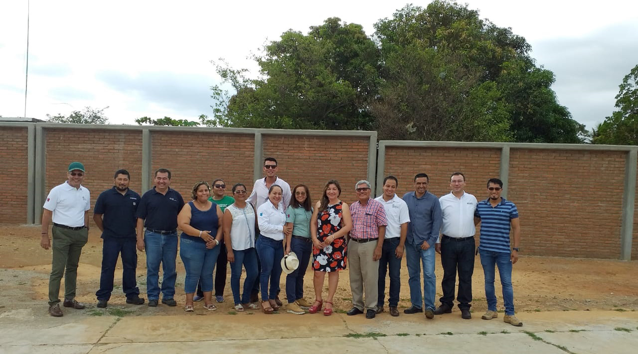 Reconstruyen barda en primaria de Santo Domingo Ingenio | El Imparcial de Oaxaca