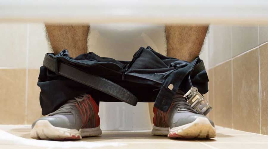 Estar mucho tiempo sentado en el baño puede causar hemorroides | El Imparcial de Oaxaca