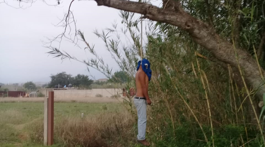 Se suicida hombre al colgarse de árbol en Ixtlahuaca | El Imparcial de Oaxaca