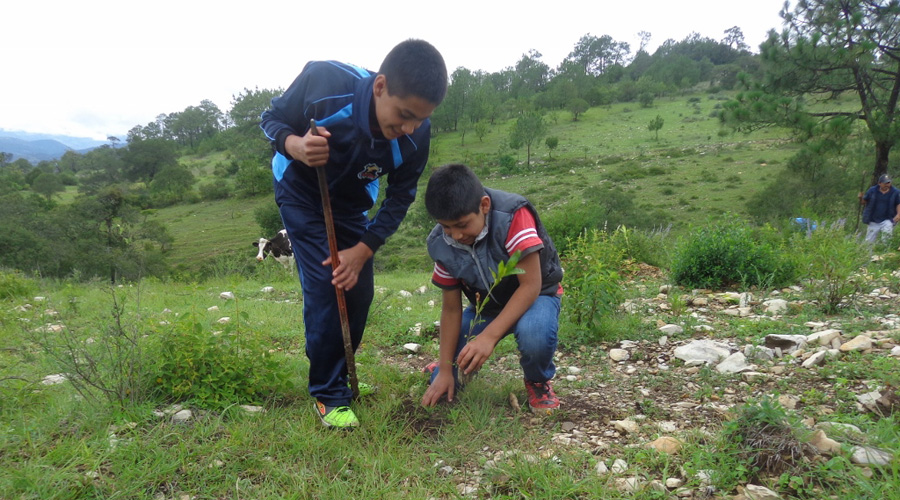 Estudiantes de Santa María Peñasco adoptan árboles