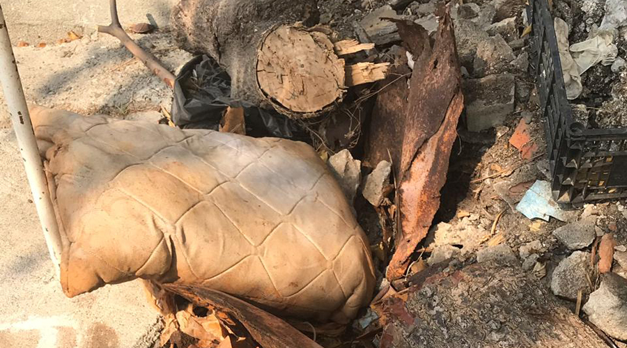 Denuncian acumulación de  restos humanos en el panteón  de Salina Cruz