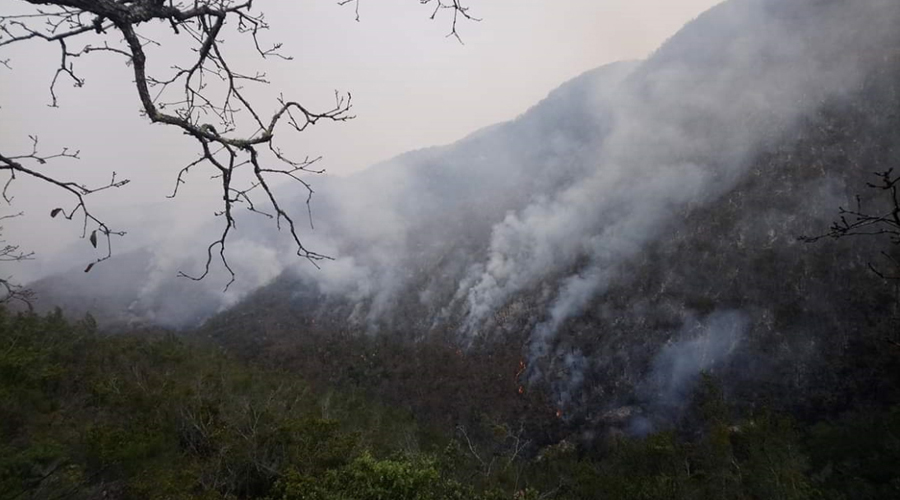 Reportan activos nueve incendios forestales en Oaxaca | El Imparcial de Oaxaca