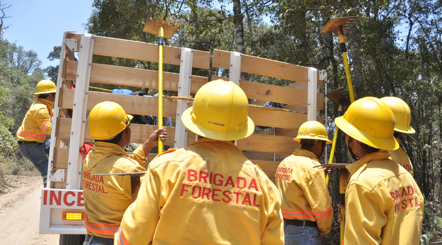 Más de 28 mil combatientes han sofocado 187 incendios en Oaxaca