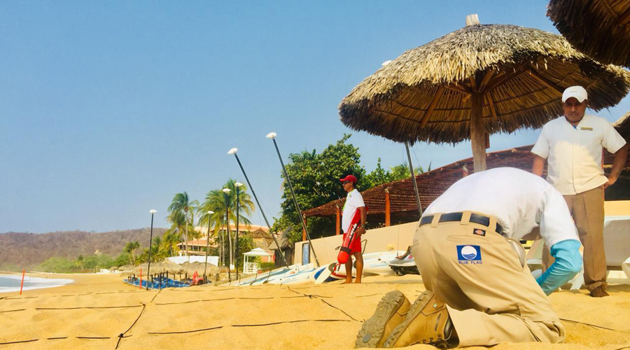 Playas oaxaqueñas obtienen certificación Blue Flag | El Imparcial de Oaxaca
