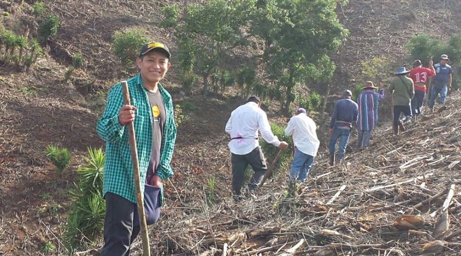 Harán crecer la  milpa en la Mixteca | El Imparcial de Oaxaca