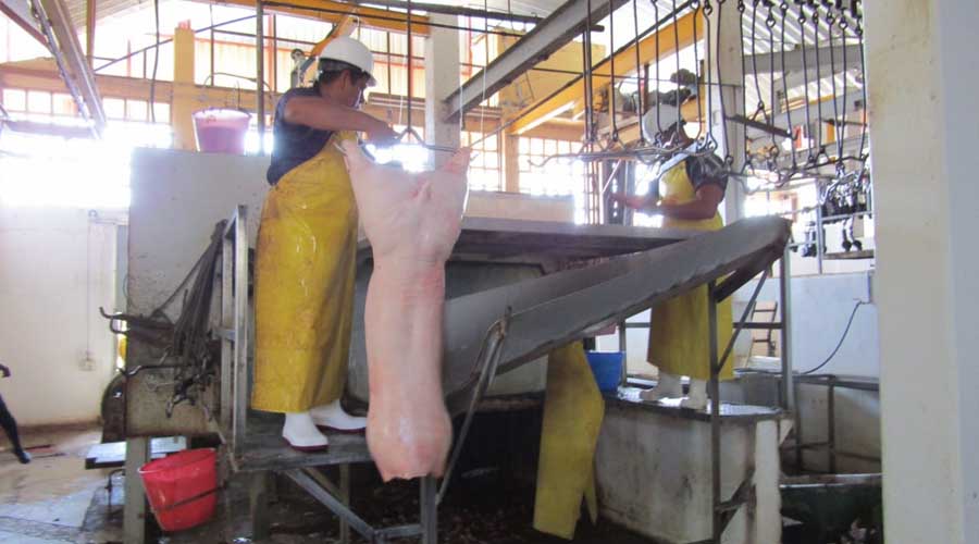 Implementarán el programa para verificar la carne que se consume en Huajuapan de León