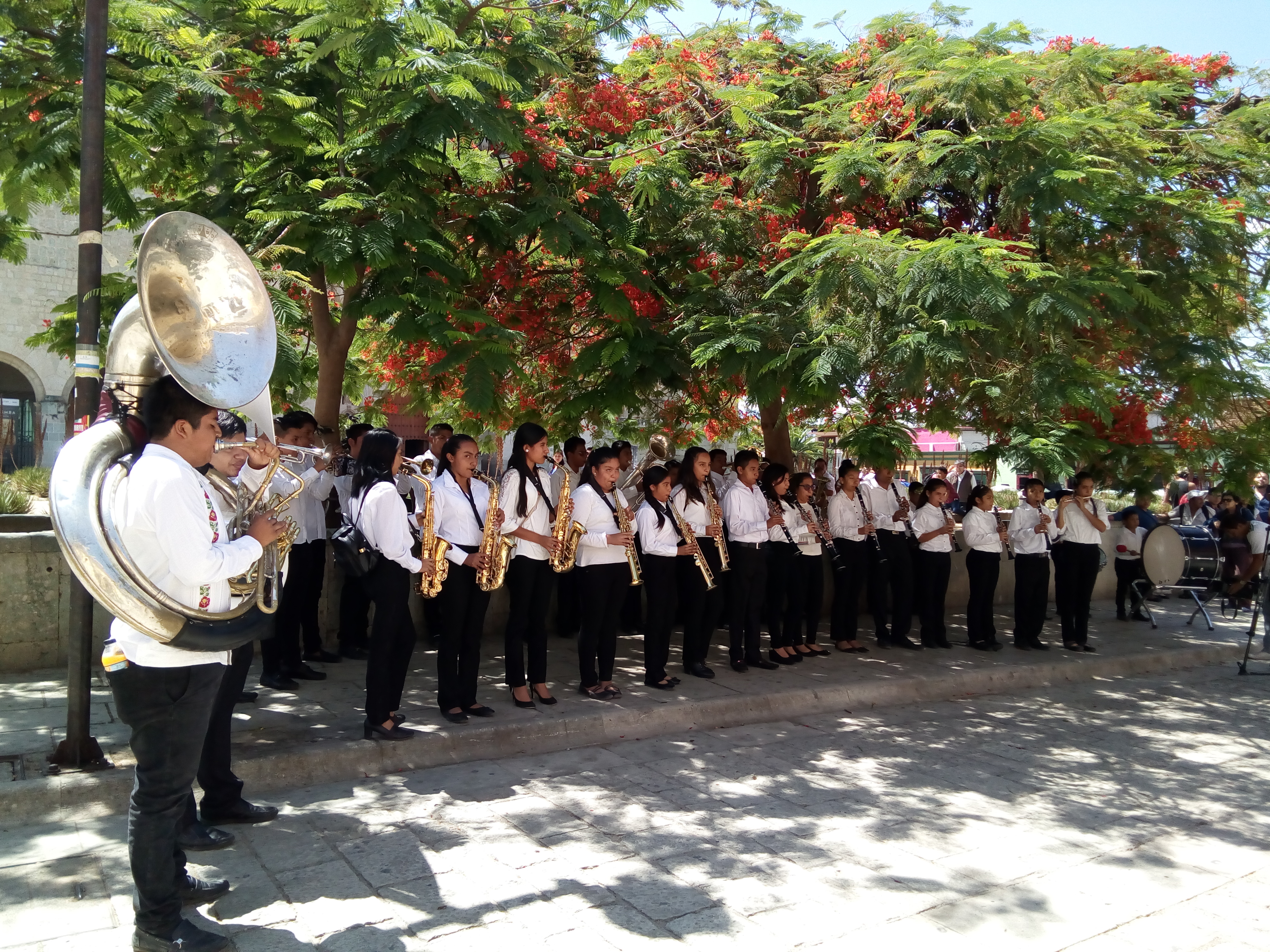 San Pedro Totolápam recupera su música | El Imparcial de Oaxaca