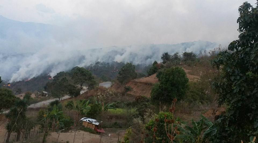 Oaxaca, el estado más afectado por incendios en todo el país | El Imparcial de Oaxaca