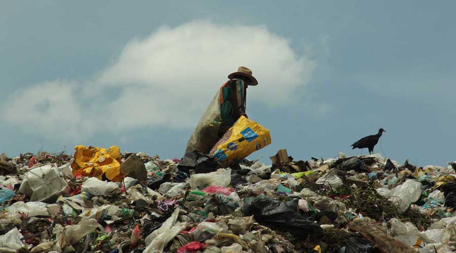 Buscan que se reconozca el trabajo de los recicladores | El Imparcial de Oaxaca