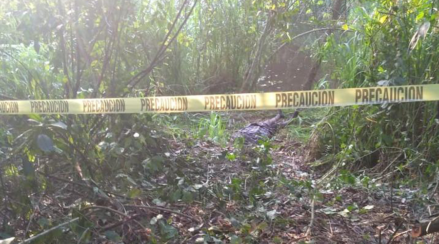 Hallan muertos a dos hombres que salieron a pescar | El Imparcial de Oaxaca