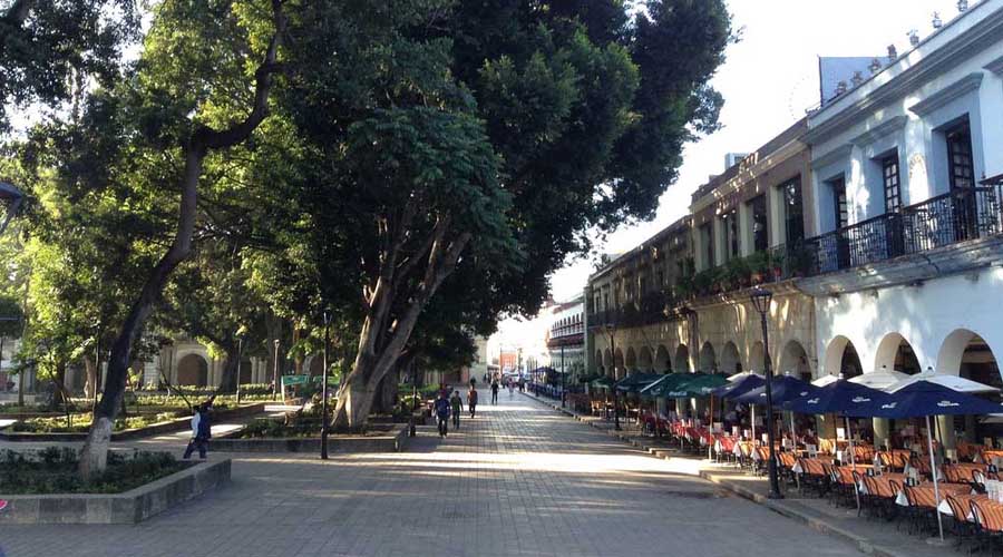 Piden cuidar áreas  verdes de Oaxaca | El Imparcial de Oaxaca