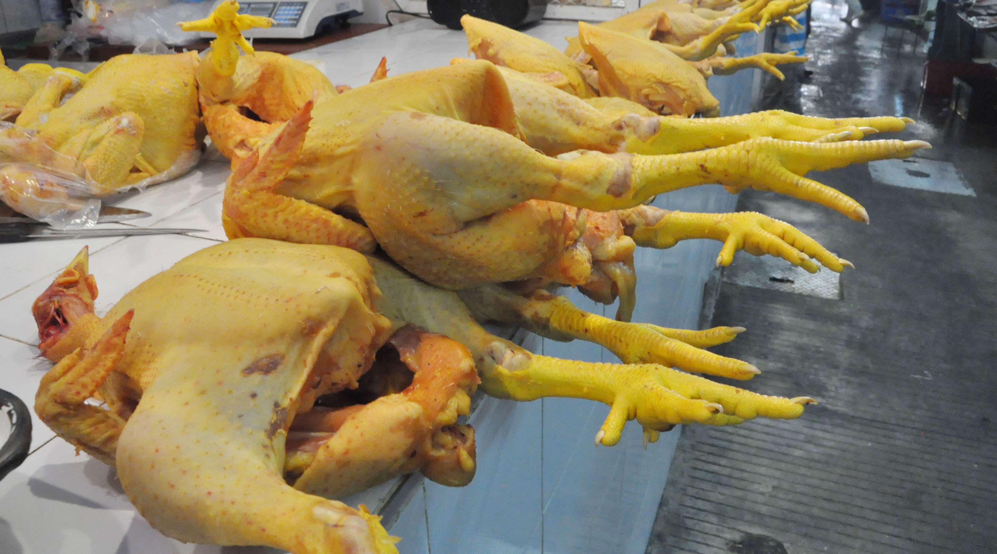 Aumenta el consumo de pollo en México | El Imparcial de Oaxaca