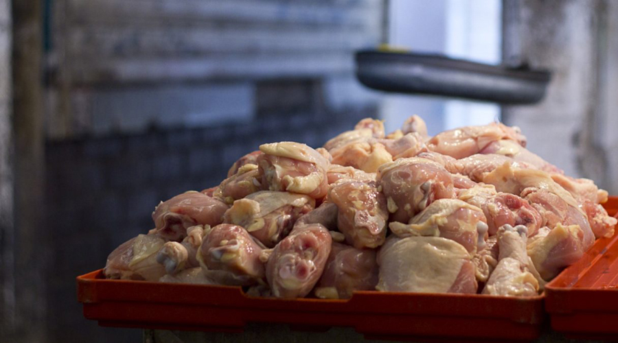 Amplían cupo para importación de carne de pollo a México | El Imparcial de Oaxaca