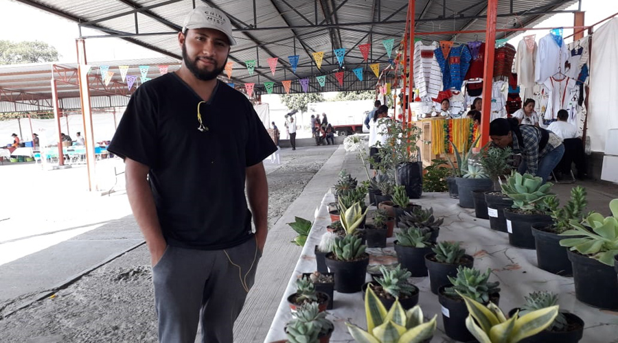 Preocupa a productores de la Mixteca, la falta de venta de plantas cactáceas