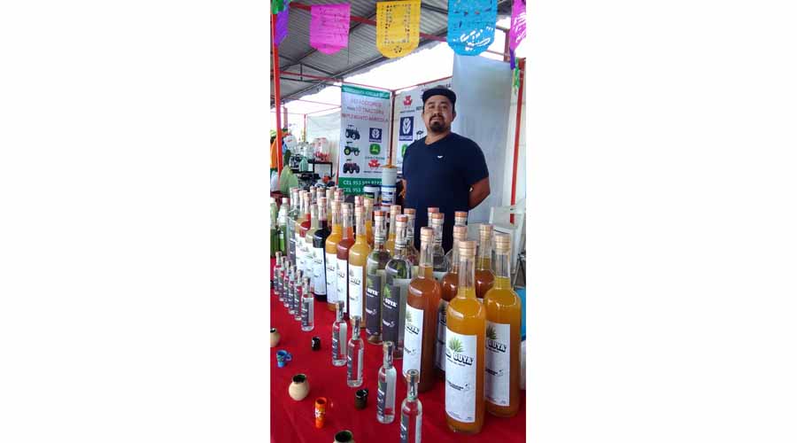Productores de la Mixteca, pierden ganancias  de licor artesanal
