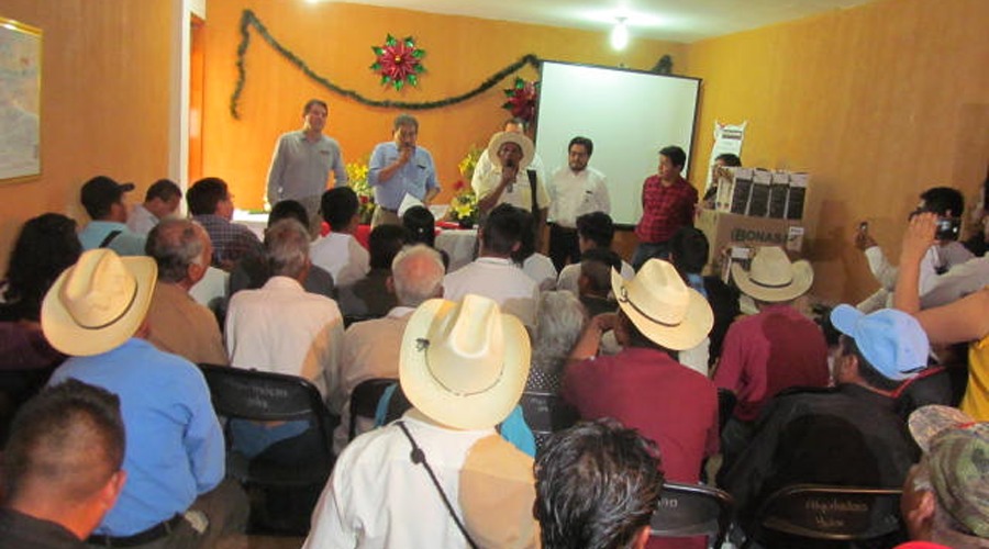 Realizan la primera edición del Premio a la  Calidad del Café | El Imparcial de Oaxaca