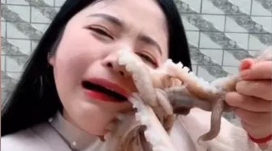 Video: Youtuber intenta comer un pulpo vivo, pero lo lamentará para siempre