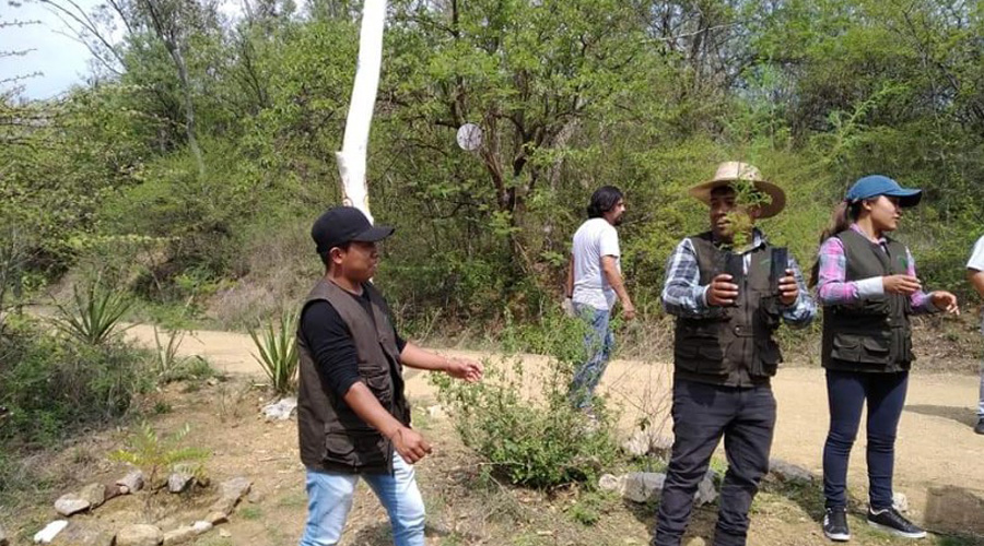 ITSMIGRA realiza campaña de reforestación en el Cerro del Fortín | El Imparcial de Oaxaca