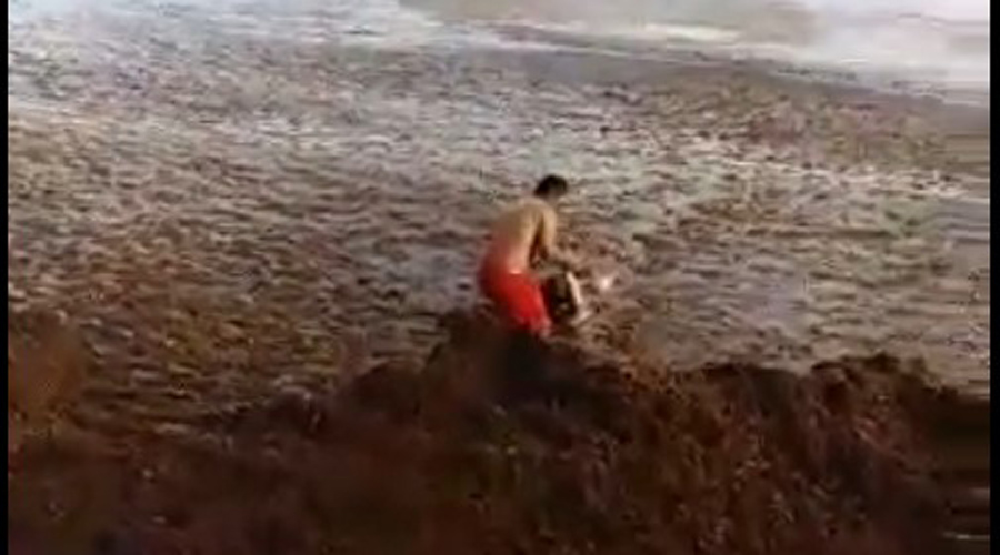 Video: Rescatan a turista que casi muere ahogada en sargazo | El Imparcial de Oaxaca