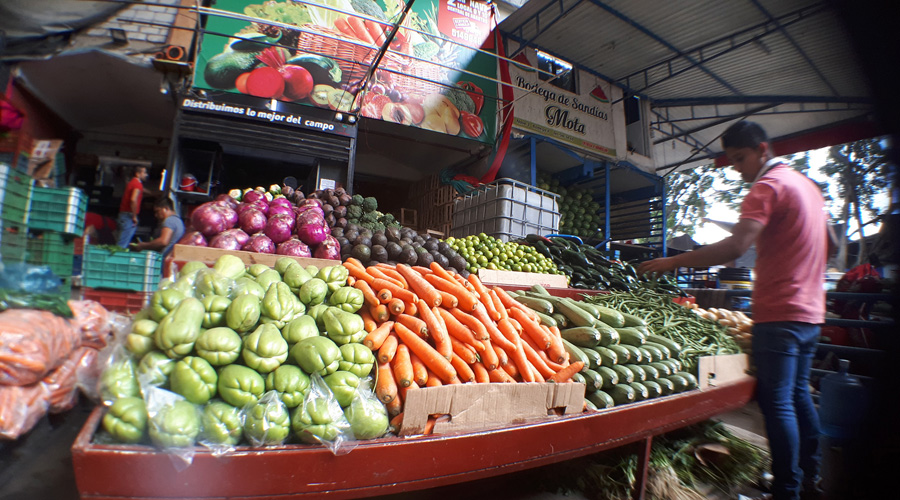 Se disparan precios  del aguacate y chayote en los mercados de Oaxaca