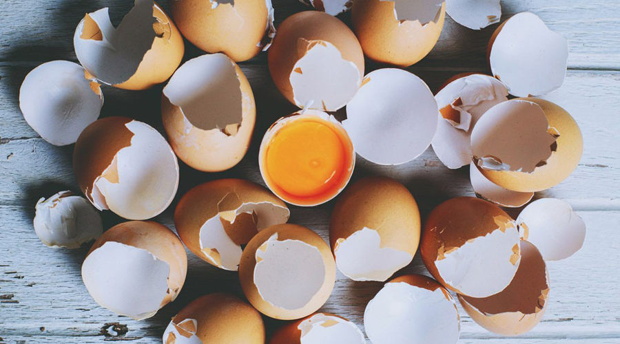Conoce los múltiples usos alternos de la cascara de huevo | El Imparcial de Oaxaca