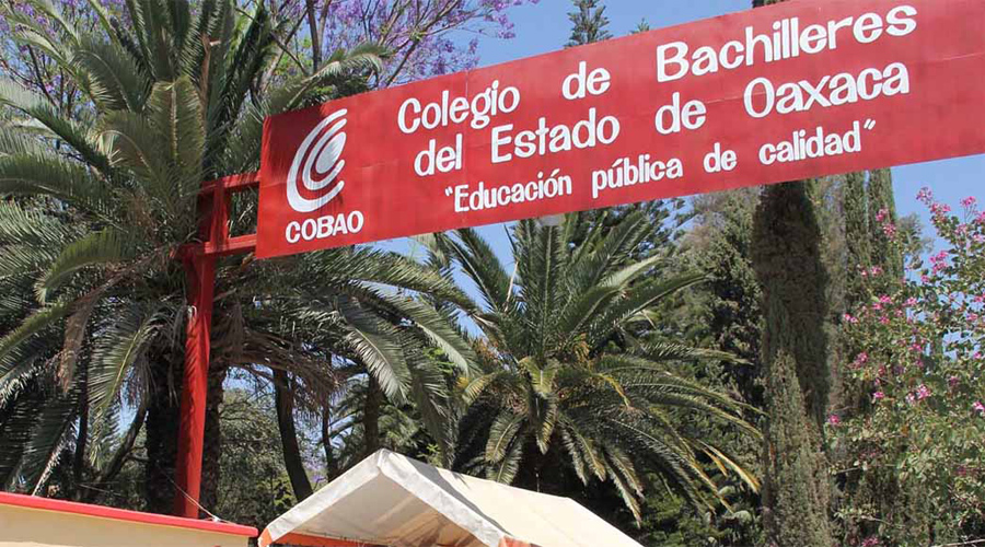 COBAO, una de las instituciones más auditadas en el estado | El Imparcial de Oaxaca