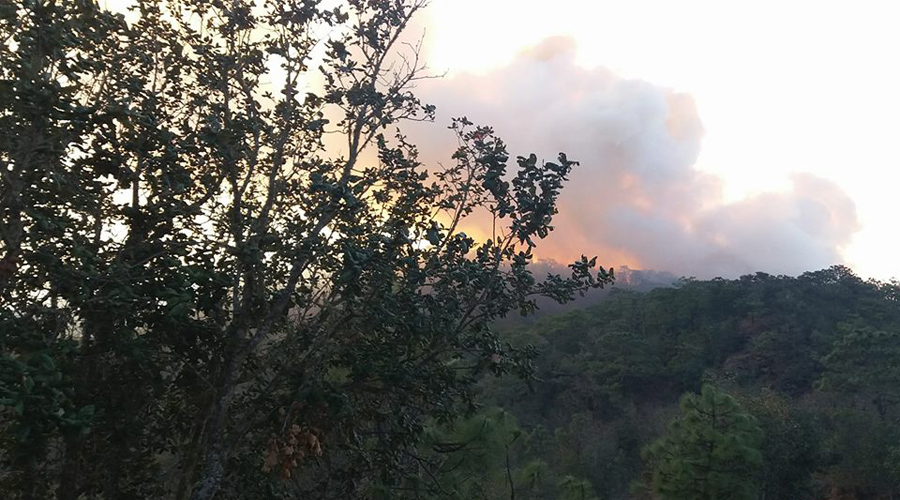 Combaten nuevo incendio en San Andrés Zautla | El Imparcial de Oaxaca