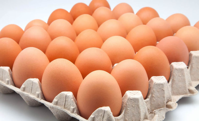¿Comes huevo todos los días? Esta información te interesa | El Imparcial de Oaxaca