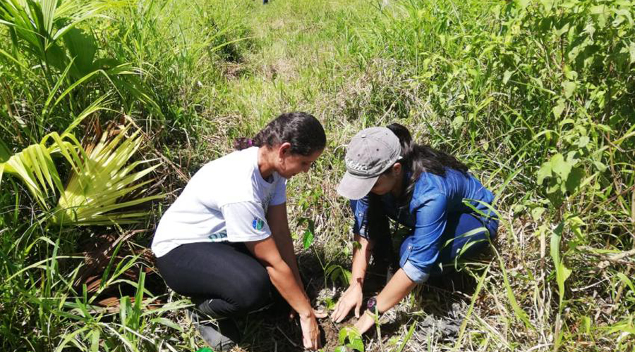 Ofrecen taller de reforestación en Tuxtepec | El Imparcial de Oaxaca