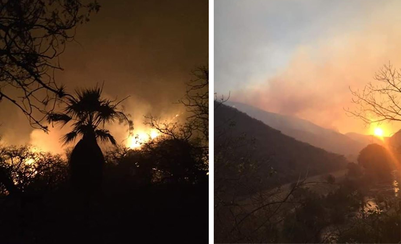 Devasta fuego más de 12 mil hectáreas en Oaxaca | El Imparcial de Oaxaca
