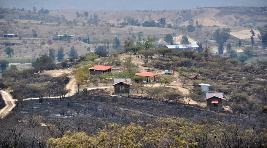 Oaxaca, sin plan estatal contra incendios
