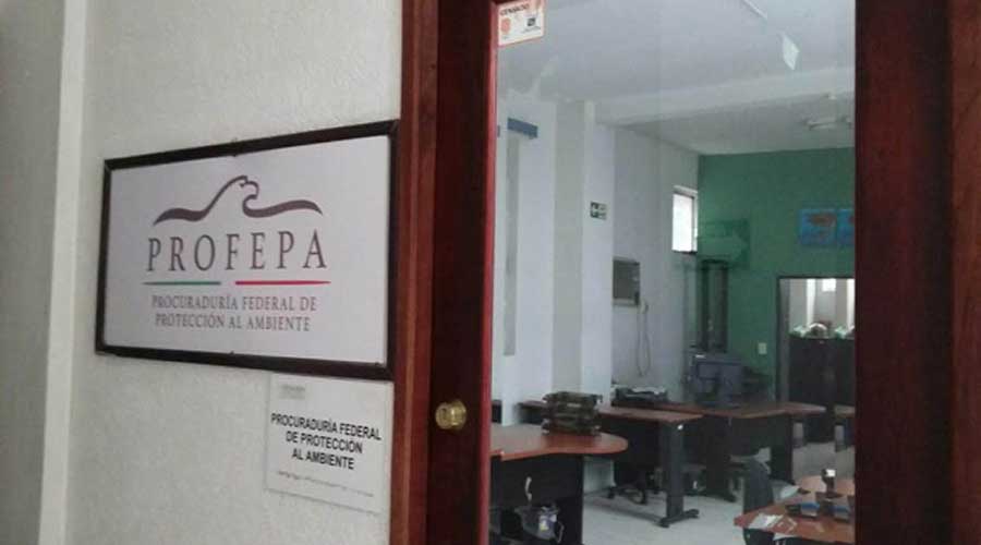 Delegación de Profepa en Oaxaca sigue sin encargado | El Imparcial de Oaxaca