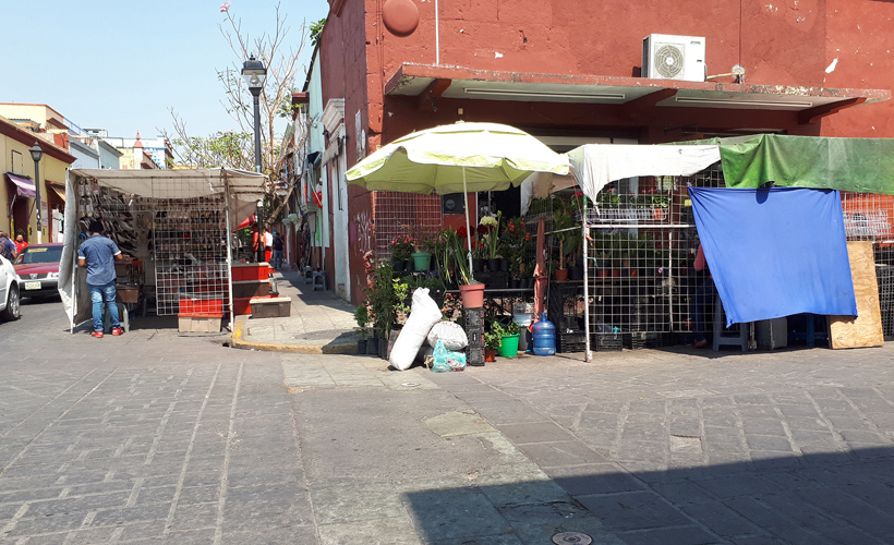 Informalidad, la punta del iceberg en Oaxaca | El Imparcial de Oaxaca