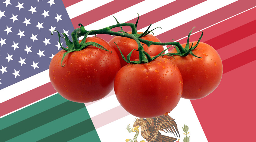 Tomateros mexicanos pagan “cuota compensatoria” para exportar a EU | El Imparcial de Oaxaca