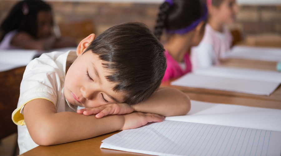 ¿Quieres que tus hijos rindan más en la escuela? Una siesta podría ser la solución | El Imparcial de Oaxaca