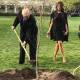 Muere el árbol plantado por Trump y Macron en la Casa Blanca