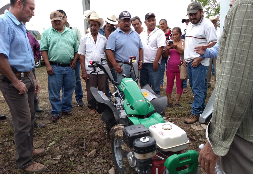 En Tuxtepec usan nuevas tecnologías para la agricultura | El Imparcial de Oaxaca