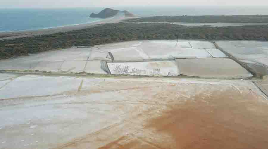 Buscan exportar sal  al mercado americano | El Imparcial de Oaxaca