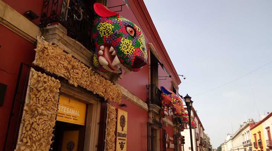 Jaguares “habitan” el Centro Histórico de Oaxaca | El Imparcial de Oaxaca