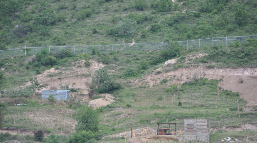 Descuida INAH Oaxaca zona protegida de Monte Albán | El Imparcial de Oaxaca