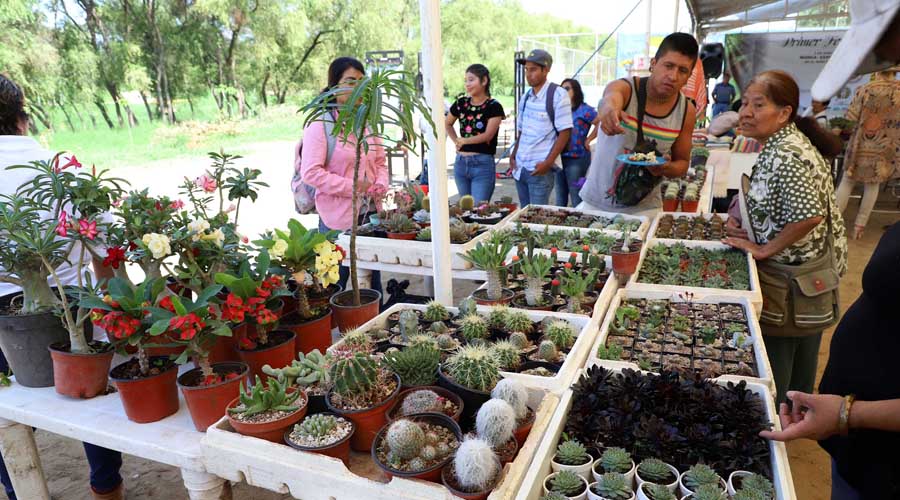 La corrupción impide el  rescate del Río Atoyac: Ambientalistas de Oaxaca