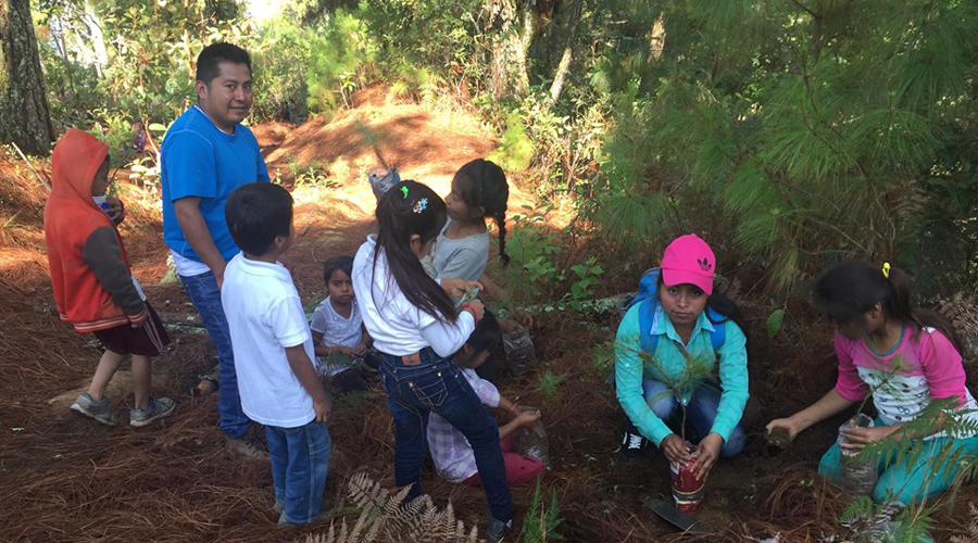 Niños de la Mixteca, reforestan terrenos de la población
