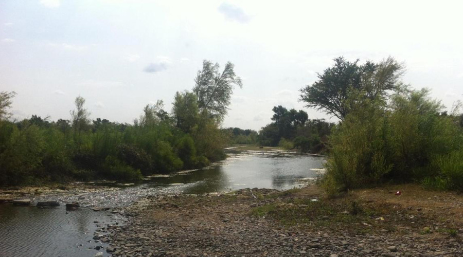 Preocupa contaminación de ríos en la región del Istmo | El Imparcial de Oaxaca