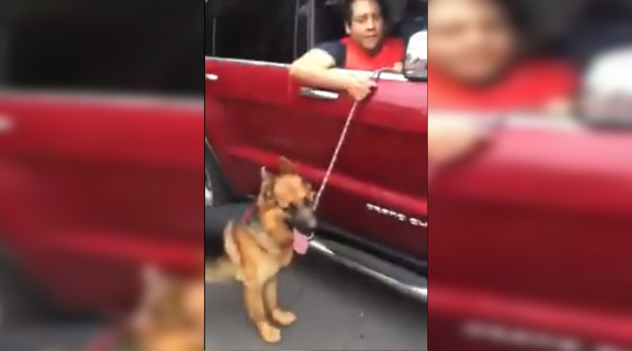 Video: Hombre arrastra a perro desde una camioneta | El Imparcial de Oaxaca