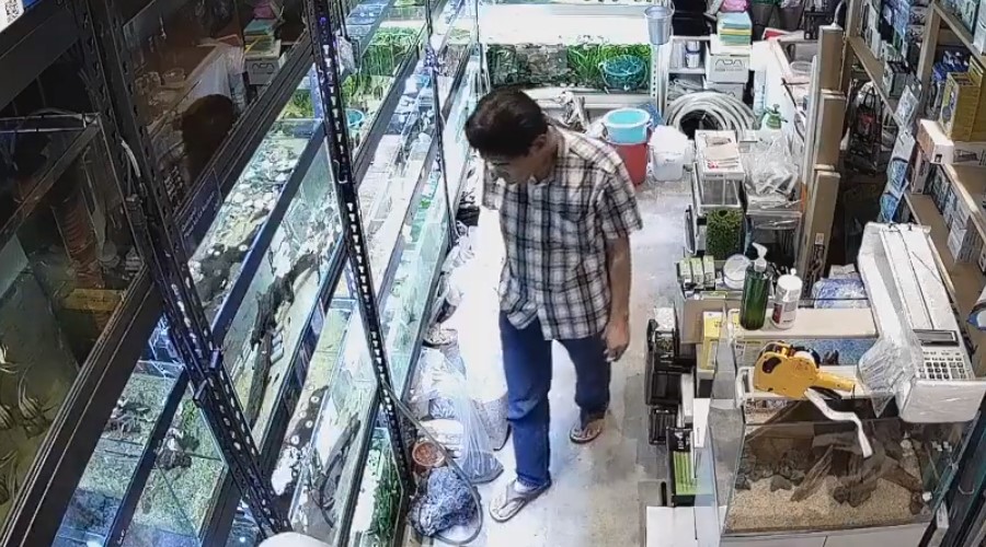 Video: Hombre envenena peces en un tienda de mascotas | El Imparcial de Oaxaca