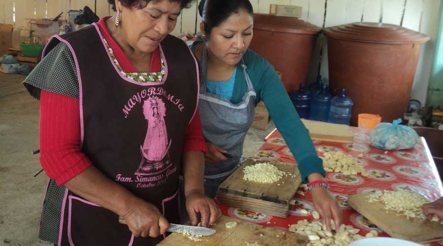 Trabajadoras domésticas de Oaxaca, entre la desigualdad  y explotación laboral